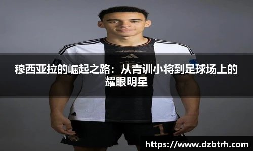 英国威廉希尔willianhill